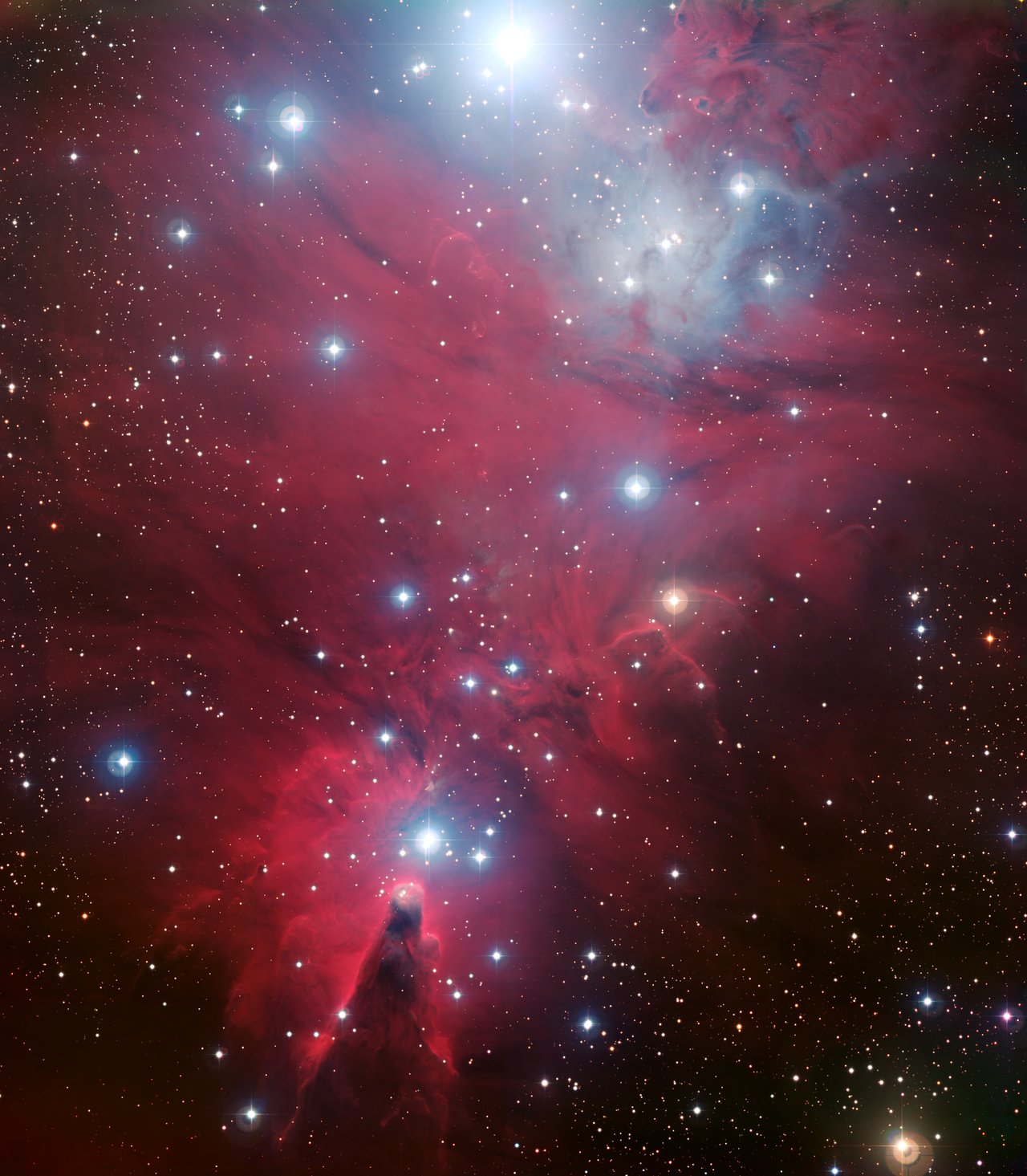 NGC 2264, l’Arbre de Noël · La Silla